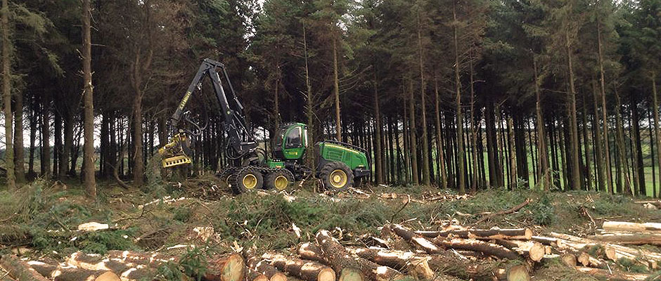 roland-forestry-harvesting-ireland-1